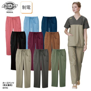 XNupc Dickies FOLK t J[Spc  jp   Ō  Xgb`  5017SC グ