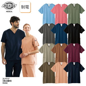 XNu Dickies FOLK  jp   Ō  Xgb`  jp j  7033SC ubNtCf[