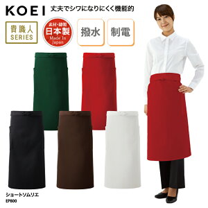 \G KOEI Gv ~h O|  { ChCWp  ~[ H ̔ Xg JtF jp v  EP800 hJ vg