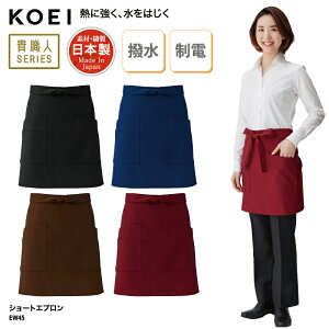 Gv KOEI V[g O|  {  ubN ChCWp  ~[ H ̔ Xg JtF jp  d Mɋ EW45 hJ vg ubNtCf[