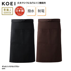 M\ \G Gv KOEI ~h O|  { ChCWp  ~[ H ̔ JtF jp v  GA75 hJ vg