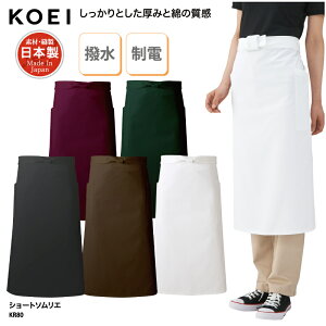 yyVLOX1ʎ܁zO| KOEI Gv ~h  { ChCWp  ~[ H ̔ Xg JtF jp  KR80 hJ vg ubNtCf