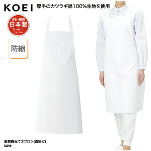 Gv KOEI  |  zCg  ~[ Hi  􂢏 H ChCWp { jp Vv  hk  M290 hJ vg ubNtCf[