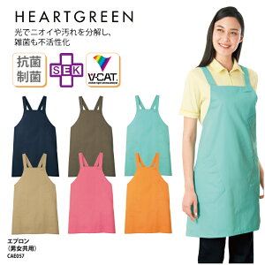 Gv J[V[JV} i` L R  d UVJbg   fBJ jtH[ jp [NEFA HARET GREEN CAE057 lCr[ uE TbNX ubNtCf