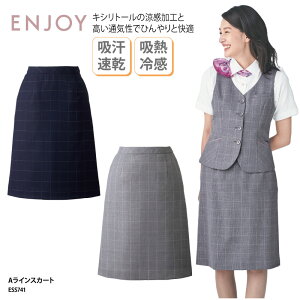 XJ[g ENJOY AC G ItBXEFA E[ O[ lCr[  zM⊴  t 傫TCY i Vv GWC ESS741 ubNtCf[