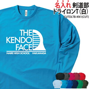 ドライロンT 長袖Tシャツ ロンT 剣道 クラブ 部活 サークル チーム ユニフォーム トレーニングウェア 練習着 応援着 移動着 ドライ 速乾 吸収 薄手 メッシュ UVカット ポリエステル100% 引退 卒