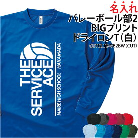 【衝撃価格！スーパーSALE限定】ドライロンT 長袖Tシャツ ロンT バレーボール ビッグプリント バレー部 クラブ 部活 サークル チーム ユニフォーム トレーニングウェア 練習着 応援着 移動着 ドライ 速乾 サラサラ 吸収 薄手 メッシュ UVカ