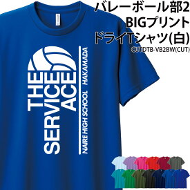 Tシャツ バレーボール バレー クラブ 部活 サークル チーム ユニフォーム トレーニングウェア 練習着 移動着 ドライ 速乾 吸収 薄手 メッシュ UVカット ポリエステル100% ブルー グレー ブラック レッド グリーン CUTDTB-VB2BW