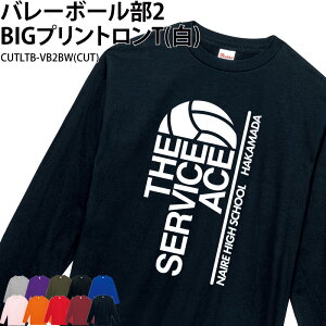 yyVLOX1ʎ܁zT o[ rbOvg K  ړ g[jOEFA  悯 Nu IWi  Y fB[X o[{[ O[ 