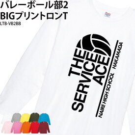 【衝撃価格！スーパーSALE限定】バレー バレーボール Tシャツ 部活 長袖 ロンT 練習着 トレーニングウェア 日よけ クラブ ユニフォーム オリジナル 名入れ メンズ レディース LTB-VB2BB