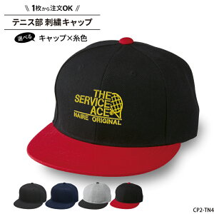 Lbv ejX T[rXG[X Y fB[X Xq  T[N `[ LOi w    tbgoCU[   낢 ǂ  O `[ w