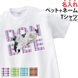 【 ポッキリSALE 送料無料 】Tシャツ 白 ペット ネーム 名前 ペット名 写真 犬 猫 愛犬 愛猫 アニマル tシャツオーダーメイド ギフト プレゼント パープル グリーン ブルー ブラウン 名入れ TA-PN1