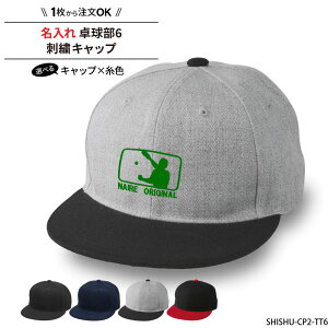 Lbv 싅 Y fB[X Xq  T[N `[ LOi w    tbgoCU[ 낢  O `[ wZ hJ v[g SHISHU-CP2-TT6 BLACK FRIDAY