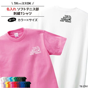 Tシャツ ソフトテニス 刺繍 チーム名 名入れ 無料 半袖 tシャツ 部活 サークル 入学 卒業 入部 卒部 記念品 プレゼント ジュニア メンズ レディス おそろい 練習着 刺繍入り SHISHU-TB-STN1