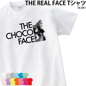 TVc IWi tFCX ybg ̂ Nu   jtH[ `[ ʐ^     Mtg v[g TA-RF1