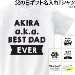 TVc  2022 v[g Mtg IWi  S p  Y fB[X LbY TE-F1  ubNtCf[