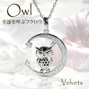 Pt900 0.2ct  tNE _Ch y_gyz_ChlbNX _ClbNX _Cy_g tN[  WG[ v`i lbNX lC NZg 