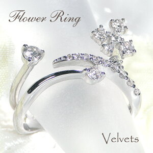 Pt900y0.5ctzt[ _Ch Oyz _Ch  WG[ w  v`i O lC  iۏ؏ V v[g 萔 b