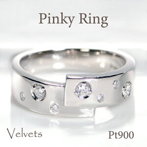 Pt900 _Ch sL[ OyzsL[ w _Ch hbg  WG[ w  v`i O lC  iۏ؏ V v[g 萔