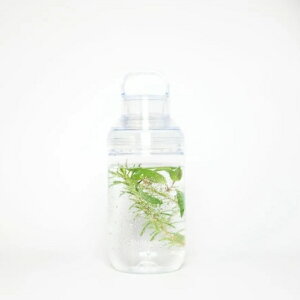 �G���o�����X �I�� �U �S�[ �{�g�� 700mL�����D�݂̃J���[�����I�т���������(EMBALANCE ON THE GO BOTTLE)