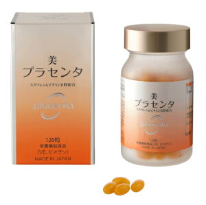 vZ^ 120iΔvZ^jyZC[R[|[Vz