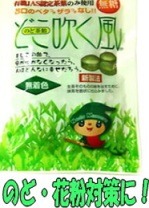 花粉・のどに!トモニの「どこ吹く風」  のど飴 70g(15粒)