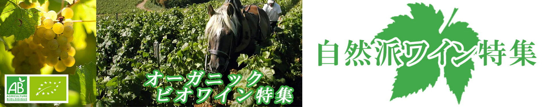 自然派ワイン特集
