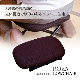ルネセイコウ ローチェアー ローザ ブラウン LR-16 BR BK 日本製 正座椅子 腰掛 腰痛対策 高齢者 介護 あぐら まくら ゴロ寝【 送料無料 】 プレゼントにも