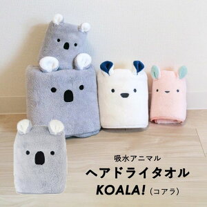  cbj V[r[Wp zAj} wAhC^I RA z  }CNt@Co[ JbgpC RpNg 킢 ӂӂ  wAhC^I