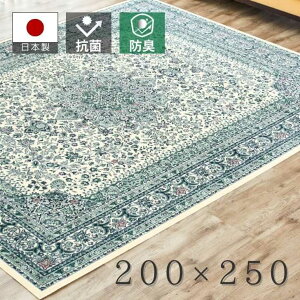 �y���[�J�[�����z ��ꏤ�� ���{�����P�b�g�D�R�ۖh�L���H���O �y�e�B�^�[�m�z 200×250 �O���[�� �J�[�y�b�g ���r���O �C���e���A ��3�� �R�� �h�L ���g �z�b�g�J�[�y�b�g �Ή� �I�[���V�[�Y