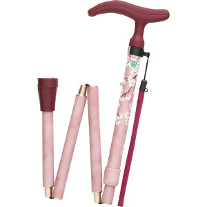  XebL  tWz[ ANeCuO|X ܏S sN  XebL   Mtg hV ܂肽 y  wl