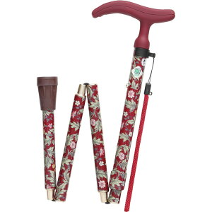  XebL  tWz[ ANeCuO|X ܏S Cbh  XebL   Mtg hV tWz[ WB3758  XebL  hV 