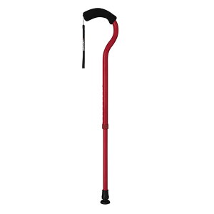  pi tWz[ t~SN Lk  XebL fB[vbh WB3884 Walking Stick Fuji Home WB3884 y  pXe Mtg