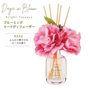  GPP fCYCu[ uCgt[Y u[~O[hfBt[U[ [Y 12227001 [tOX F  100ml CeA  bNX KX{g rO 