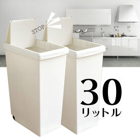 【2個組】 スライドペール30L ゴミ箱 平和工業 日本製 オフホワイト 分別 キッチン おしゃれ ゴミ箱 キャスター付【 送料無料 】 プレゼントにも