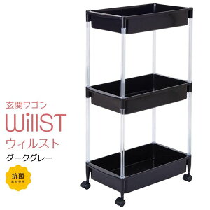 yoׁz aH փS WillST EBXg _[NO[ {  [ RۉH LX^[t ECX΍ ւŃECXVbgAEgIOo悩AAJo