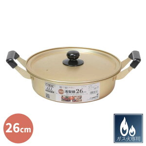  p[ NbNI[ A~^ 26cm HB-6617 Lb`pi A~ ^ KXΐp y g₷  Vv  ϕ ł ӂt