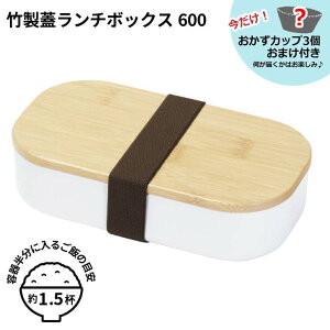  y܂tz p[ z[[x@|W`{bNX600 zCg  ٓ ` IV sNjbN@AEghA 