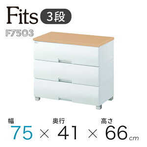  Vn Fits tBbcvX F7503 [v 110005584 75cm 3i ^X `FXg ߑP[X rO N[[bgߗގ[ bNt zRɂ o vX`bN Vv 