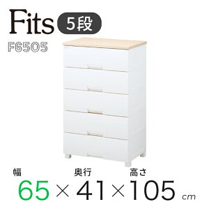  Vn Fits tBbcvX F6505 [v 110008003 65cm 5i ^X `FXg ߑP[X rO N[[bgߗގ[ bNt zRɂ o vX`bN Vv 