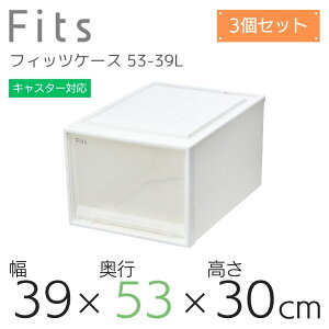 [P[X Fits Vn tBbcP[X N[[bgL-53 [{bNX ߗގ[ Q zCg  NA Jv`[m x[W X^bLO ςݏd {  Еt fitsP[X ܂Ƃ