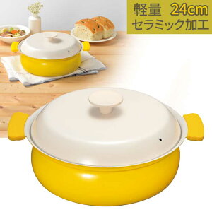 atCY yZ~bN IHΉ  24cm CG[   Lb` 킢 y KX