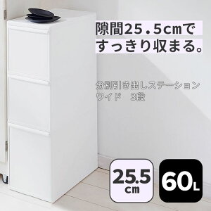 y|Cg5{zS~ g썑HƏ ʈoXe[V BW-3 Ch3i 25.5cm 60L zCg ʂݔ c^  ֗  lC [ 1l炵 Lb` ʏ h[ y