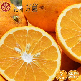訳あり 甘夏 5kg（箱込み） ご家庭用 和歌山県産 産地直送 送料無料