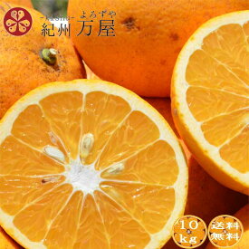 訳あり 甘夏 約10kg （箱込み）ご家庭用 和歌山県産 産地直送 送料無料