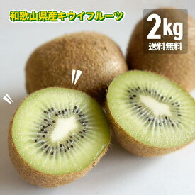 キウイフルーツ 2kg（箱込み） 和歌山県産 無選別 ご家庭用 訳あり フルーツ王国 産地直送 送料無料