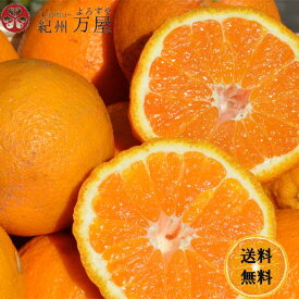 デコポンと同品種 不知火 シラヌヒ デコみかん　5kg（箱込約5kg） 訳あり ご家庭用 送料無料