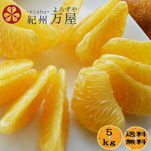 y\̔z ͂ 󂠂 ƒp 5kgi5kgj 