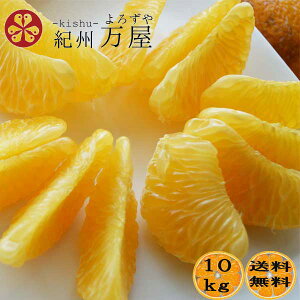 y\̔z ͂ 󂠂 ƒp 10kgi10kgj 