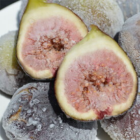 【予約】訳あり ご家庭用 フルーツ王国 和歌山県産 産地直送 冷凍いちじく 1.0kg クール便 送料無料